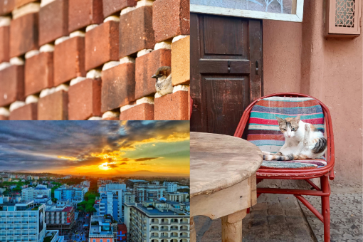A quiet moment,” in the upper left corner; “Hora feliz,” below; and “The corner king,” in vertical orientation.
