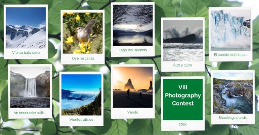 The winners of the 8th Saica Group Environmental Photography Contest have been announced.